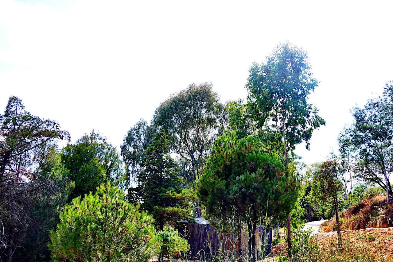 Herdade Clube Tiro Monfortinho Luaran gambar