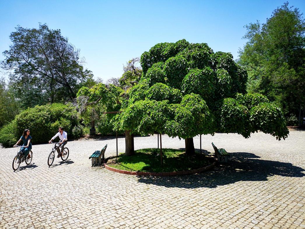 Herdade Clube Tiro Monfortinho Luaran gambar